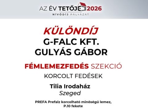 Copy of KATEGÓRIADÍJ (12)