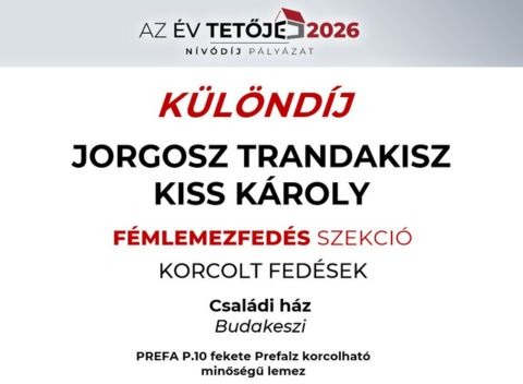 Copy of KATEGÓRIADÍJ (13)